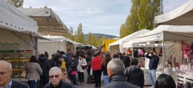 Lega Nord Perugia: “Parcheggiatori abusivi, per certe manifestazioni e per il mercato settimanale, serve un piano ordinario, non straordinario”